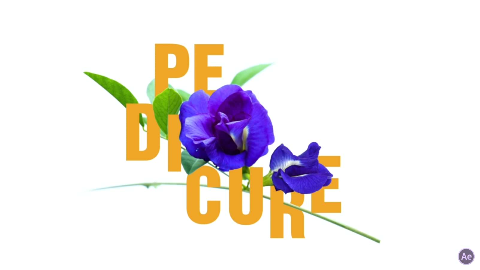 Aroma Pedicure 01-Nails-N-AE