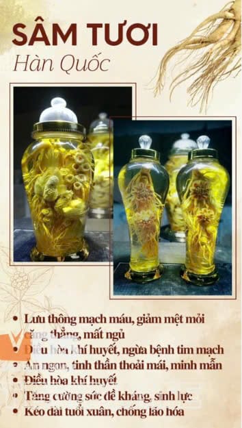 Hong Sam 01-TPCN-D-CV