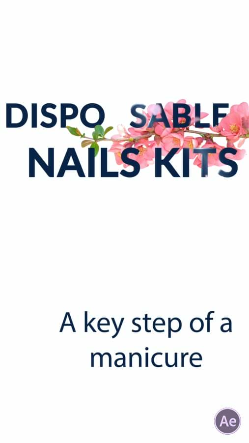 Manicure 04-Nails-D-AE