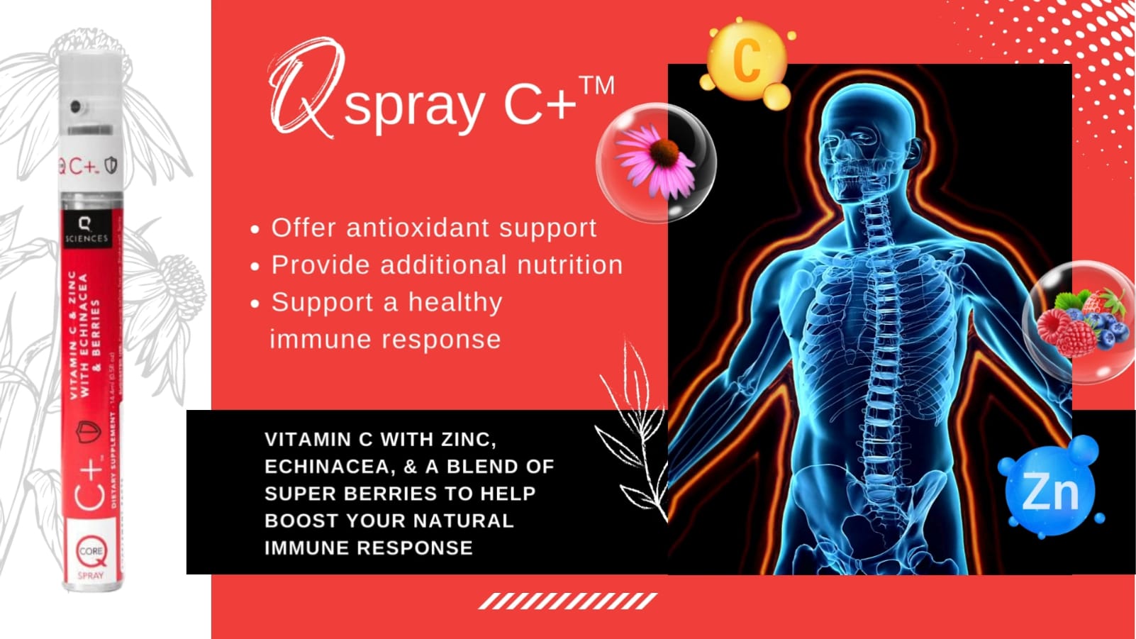 Qspray C+ 01-TPCN-N-CV