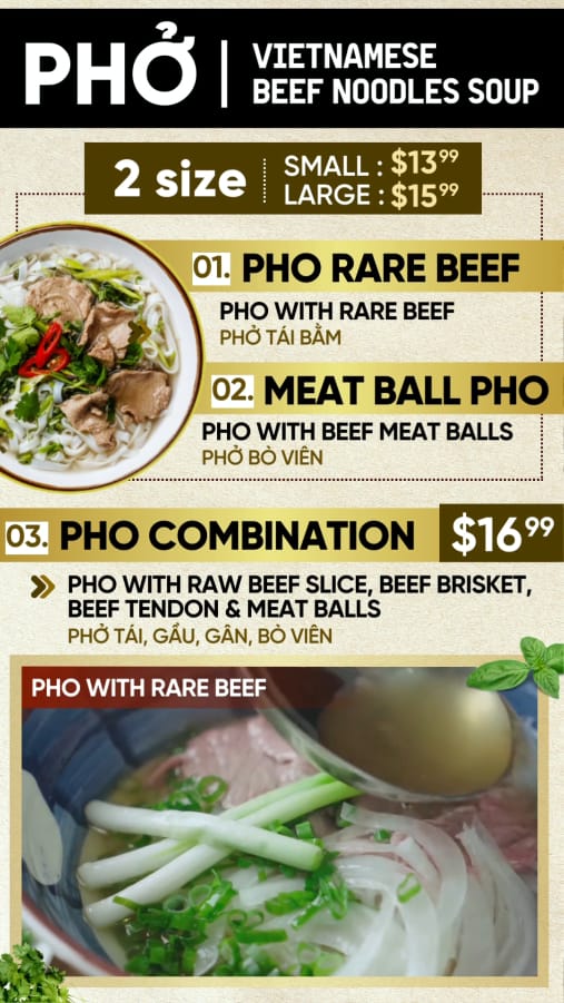 TV01(5TV-PL03)-Res-D-CV