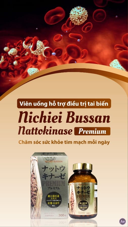 Viên uống hỗ trợ điều trị tai biến NICHIEI BUSSAN NATTOKINASE PREMIUM