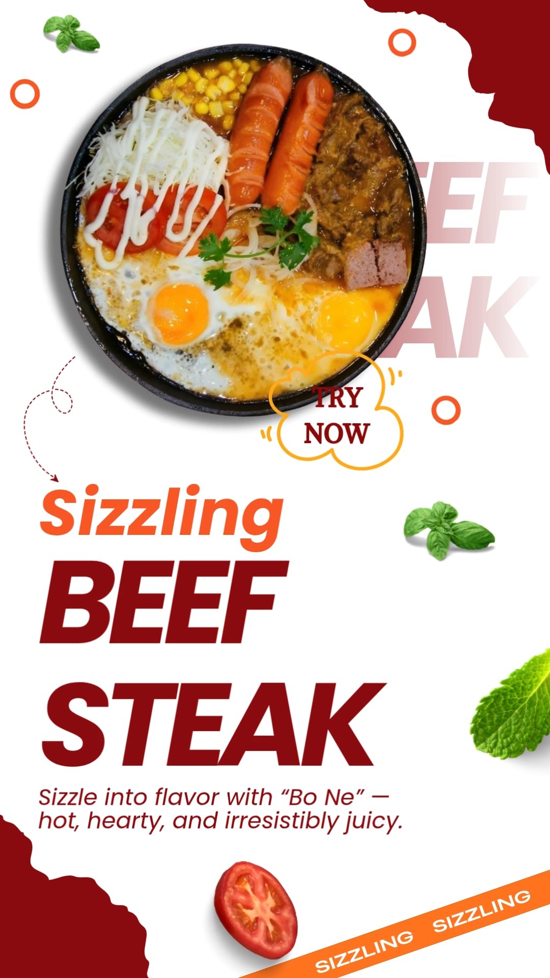 Beef Steak 01-Res-D-CV